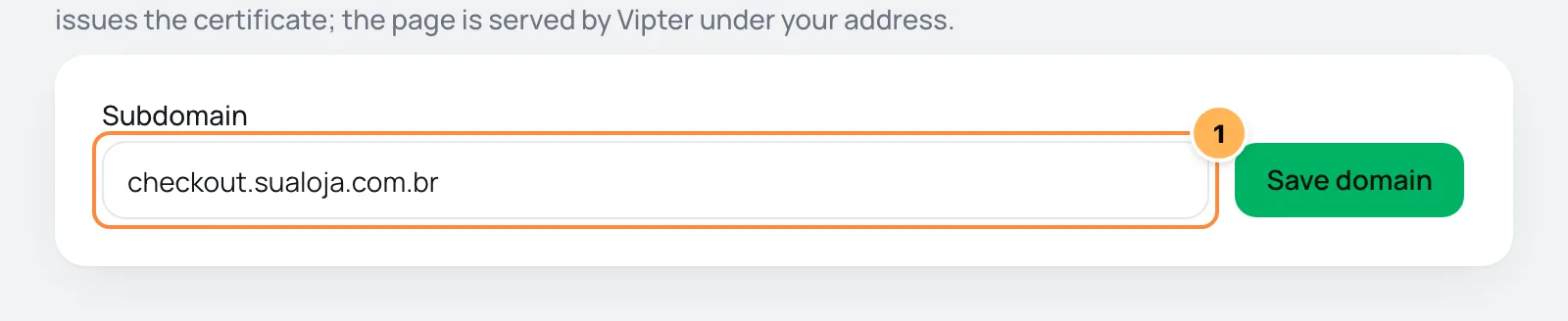 Custom domain screen in Vipter with the subdomain field numbered