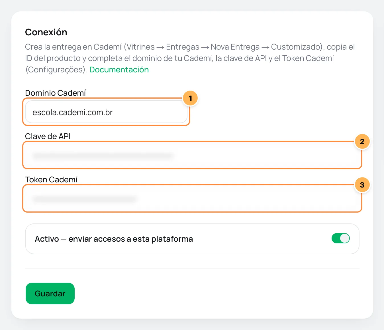 Tarjeta de conexión de Cademí en Vipter con el dominio, la clave de API y el token numerados