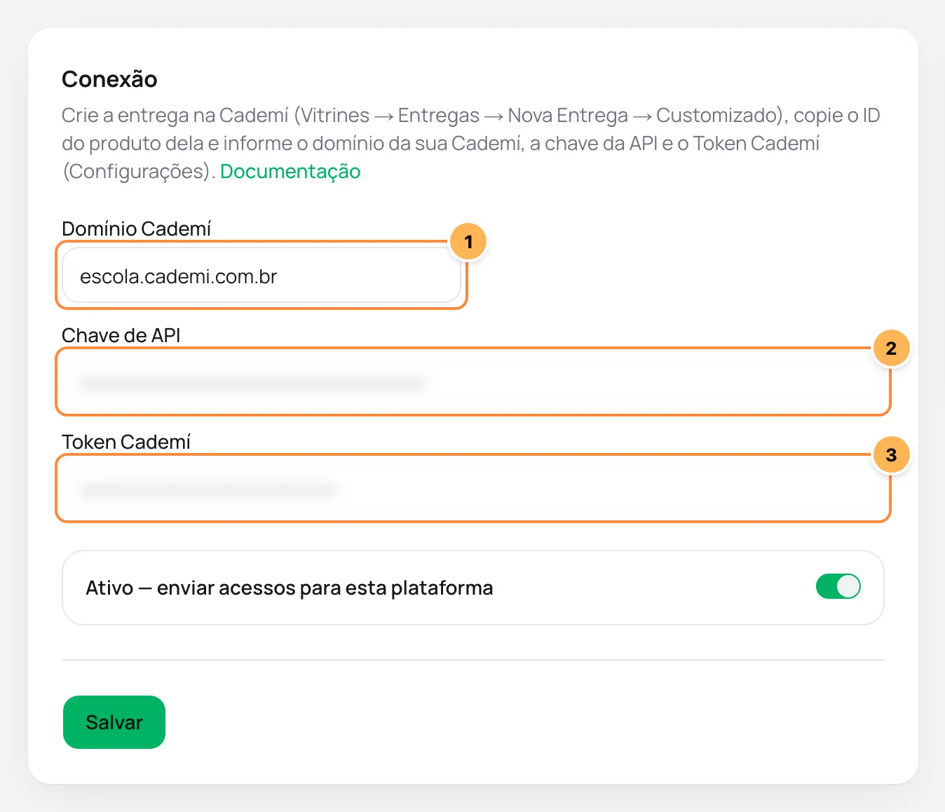 Card de conexão da Cademí no Vipter com domínio, chave de API e token numerados