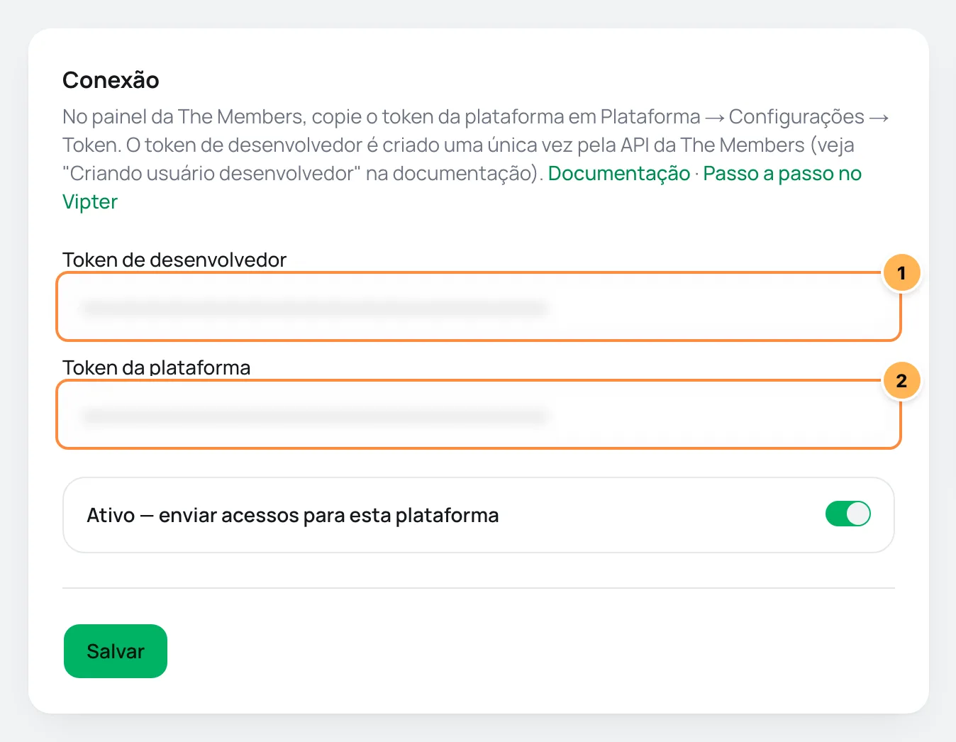 Cartão Conexão da The Members no Vipter com o token de desenvolvedor e o token da plataforma numerados